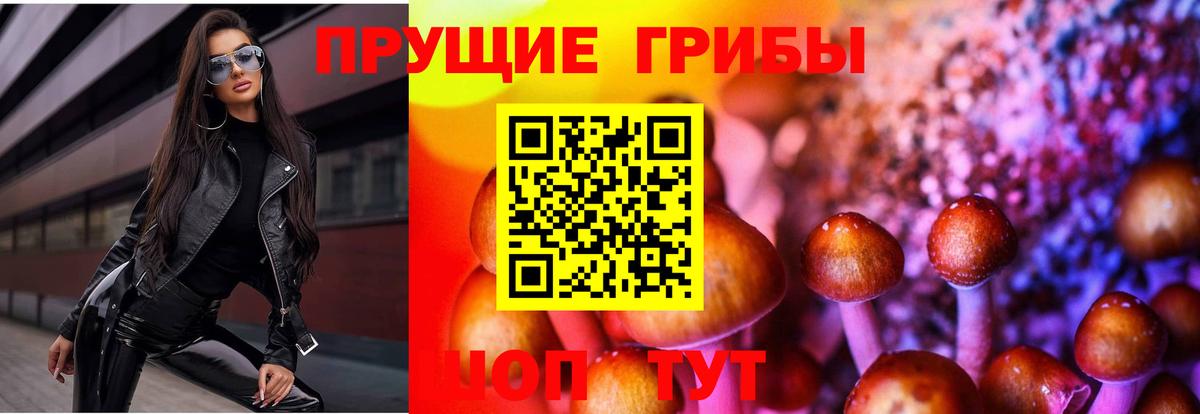 Элиста  хочу наркоту  Псилоцибиновые грибы MAGIC MUSHROOMS  Вход с VPN  Псилоцибиновые грибы Psilocybe 