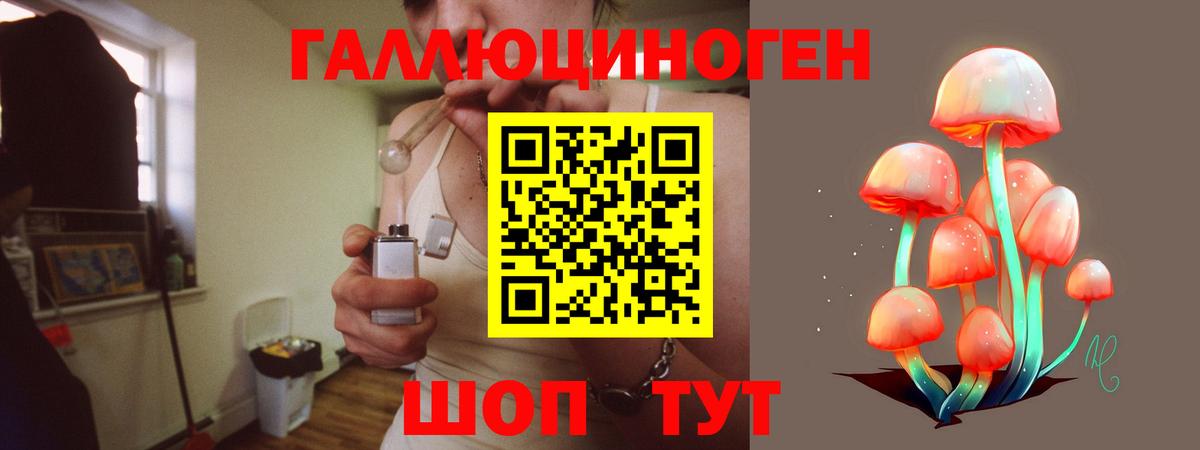 Галлюциногенные грибы MAGIC MUSHROOMS Элиста